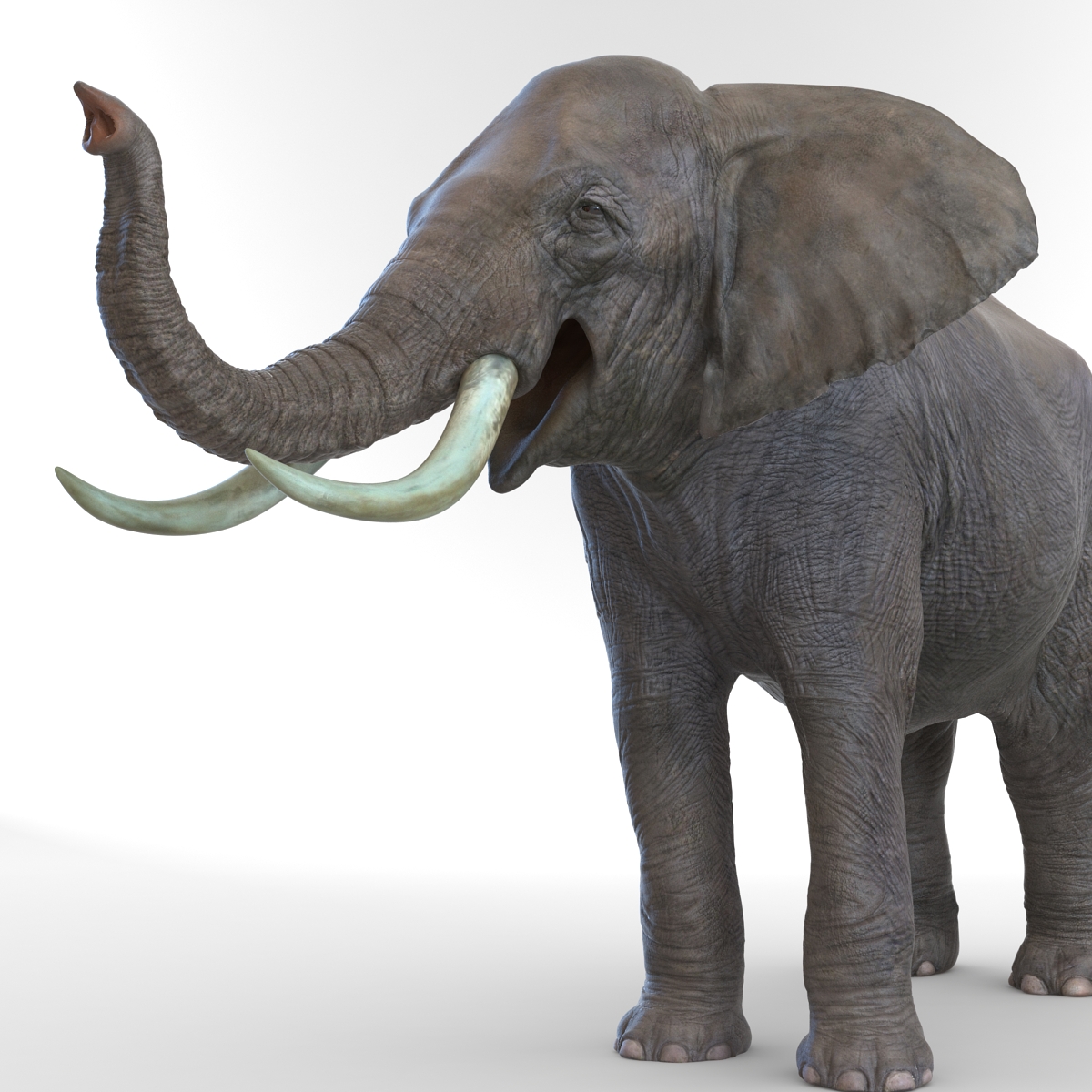 3D model Elephant Pose 3