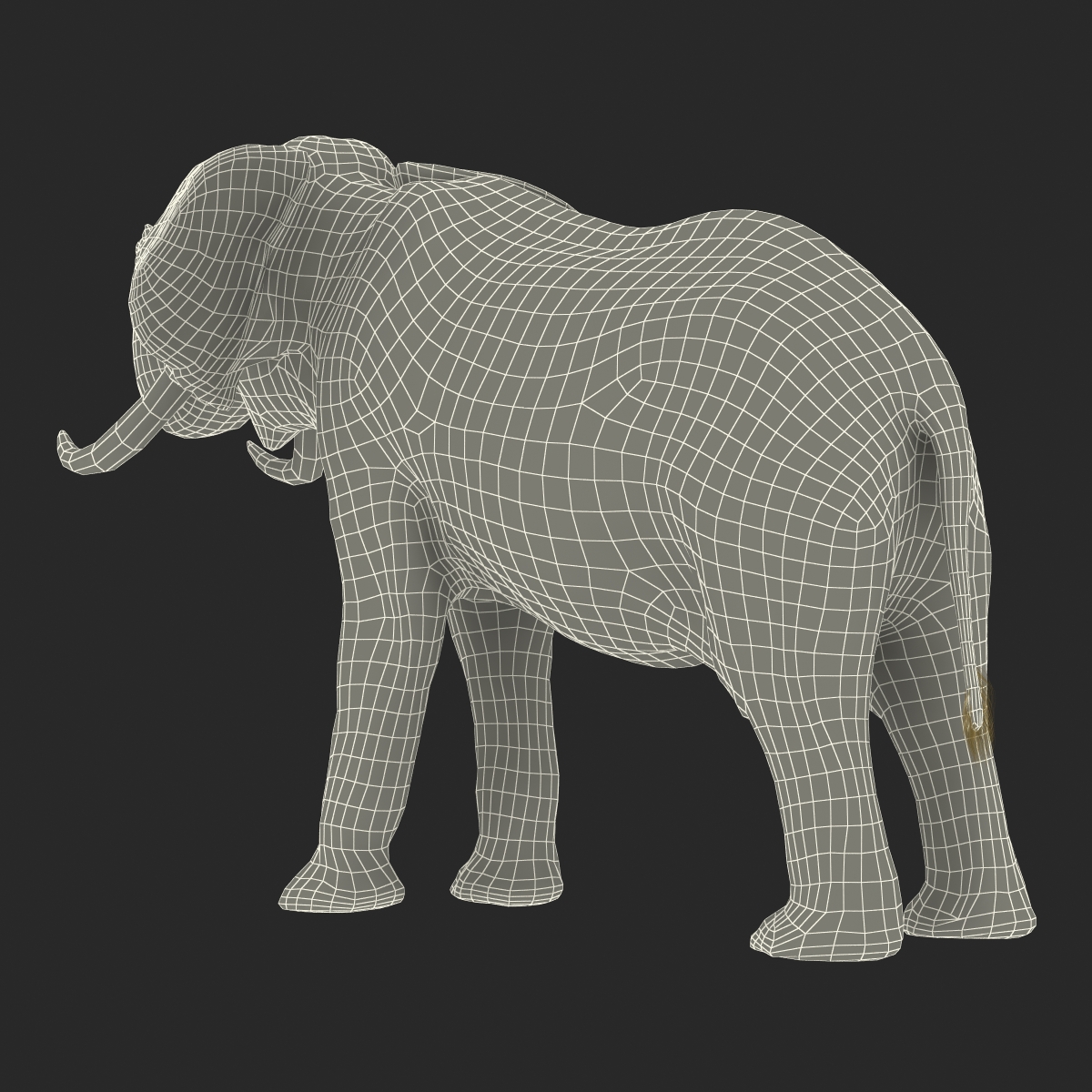 3D model Elephant Pose 3