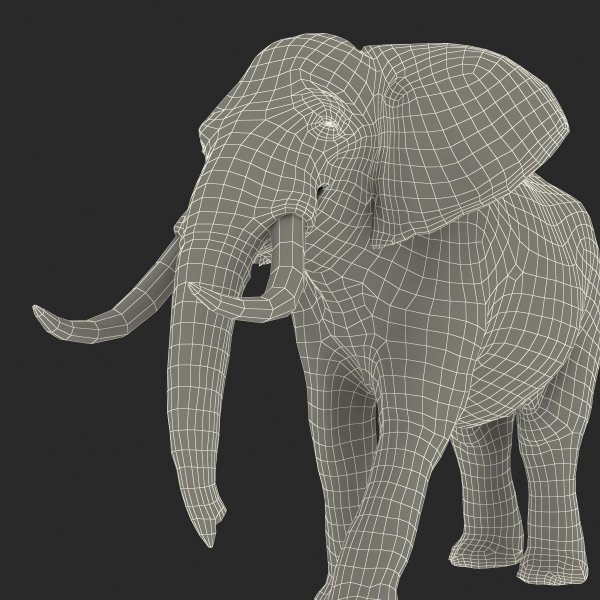 3D model Elephant Rigged