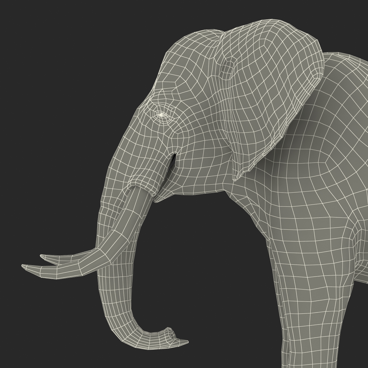 3D model Elephant Rigged