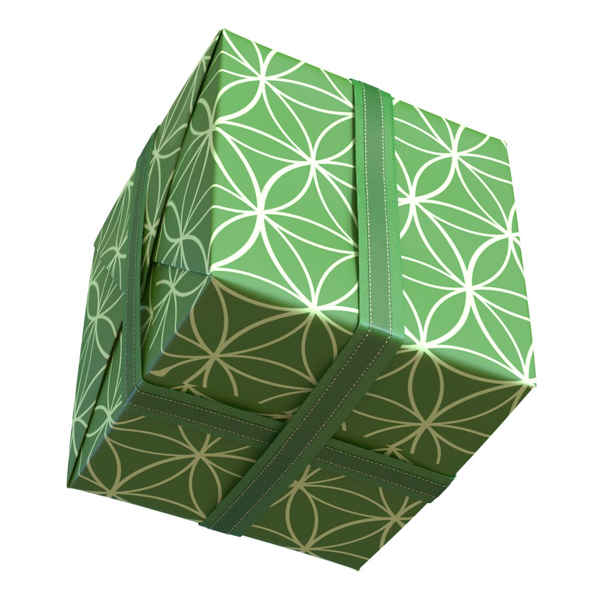 3D model Giftbox 2 Green