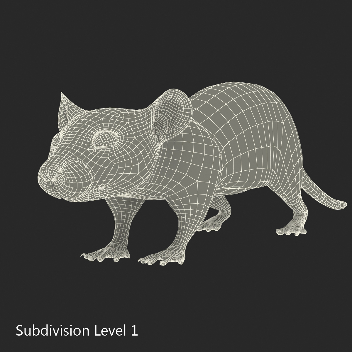 Rat 3 Rigged 3D