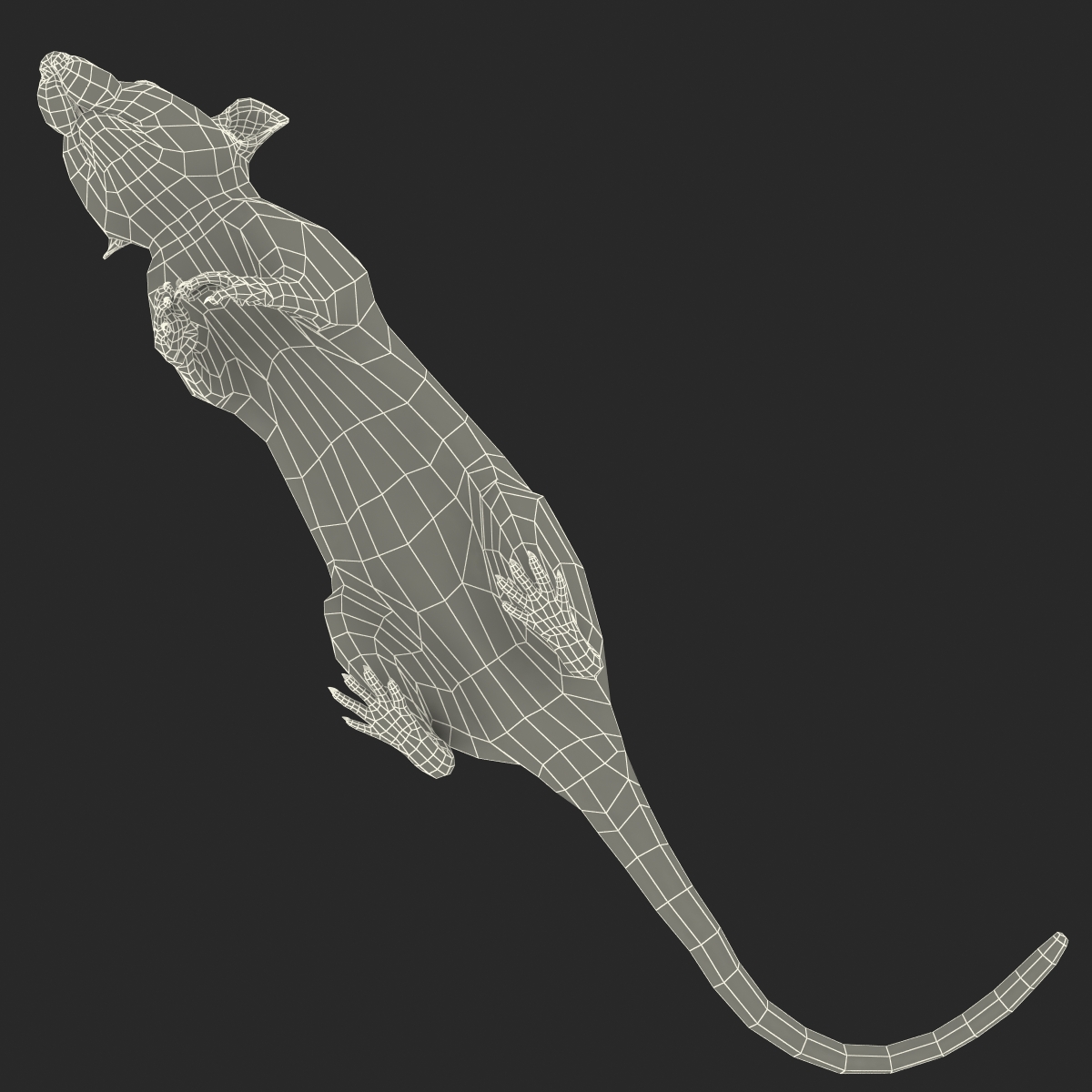 Rat 3 Rigged 3D