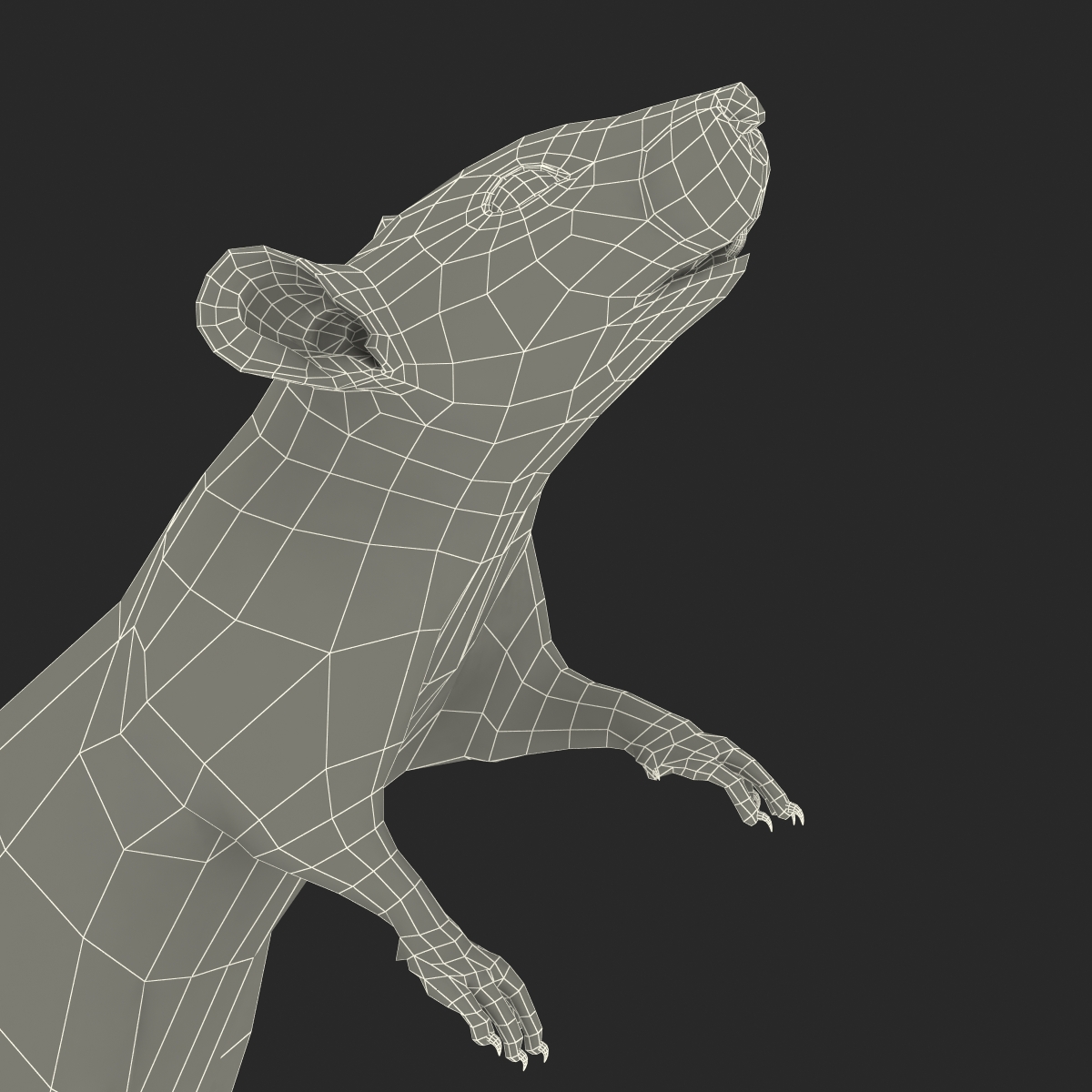 Rat 3 Rigged 3D