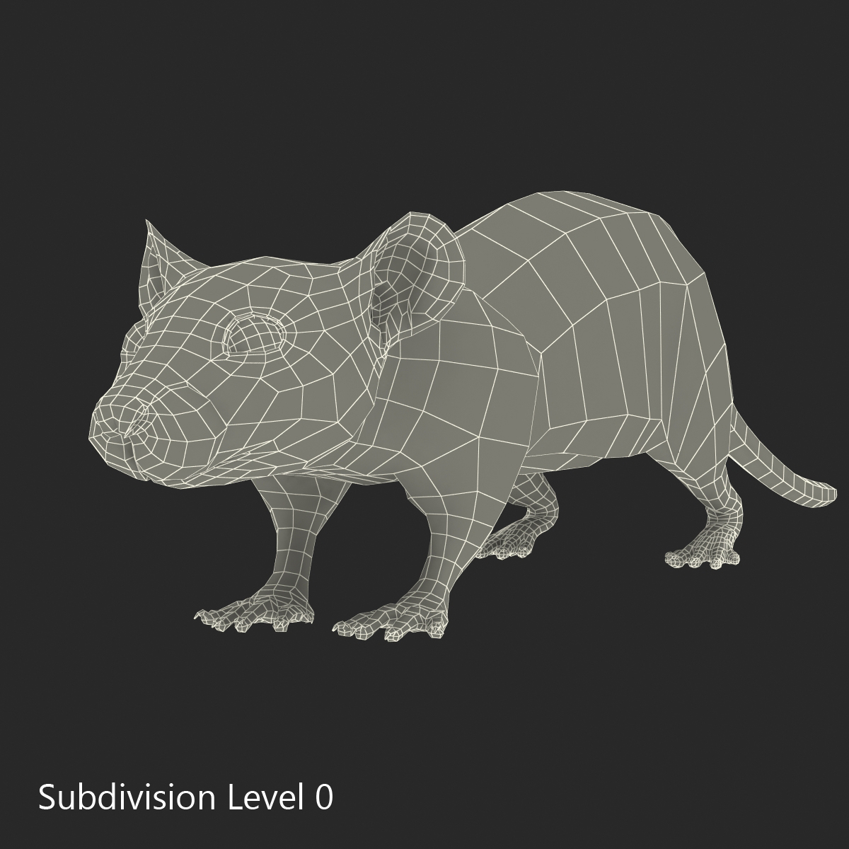 Rat 3 3D model