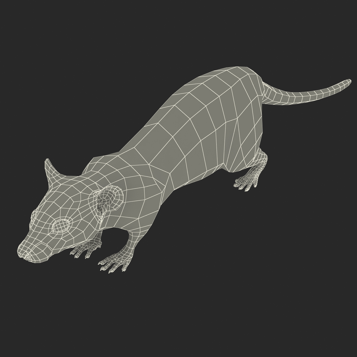 Rat 3 3D model