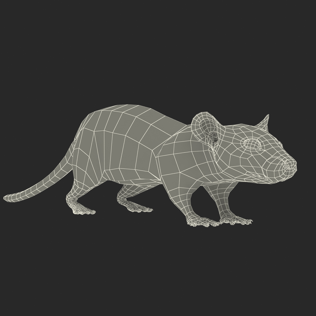 Rat 3 3D model