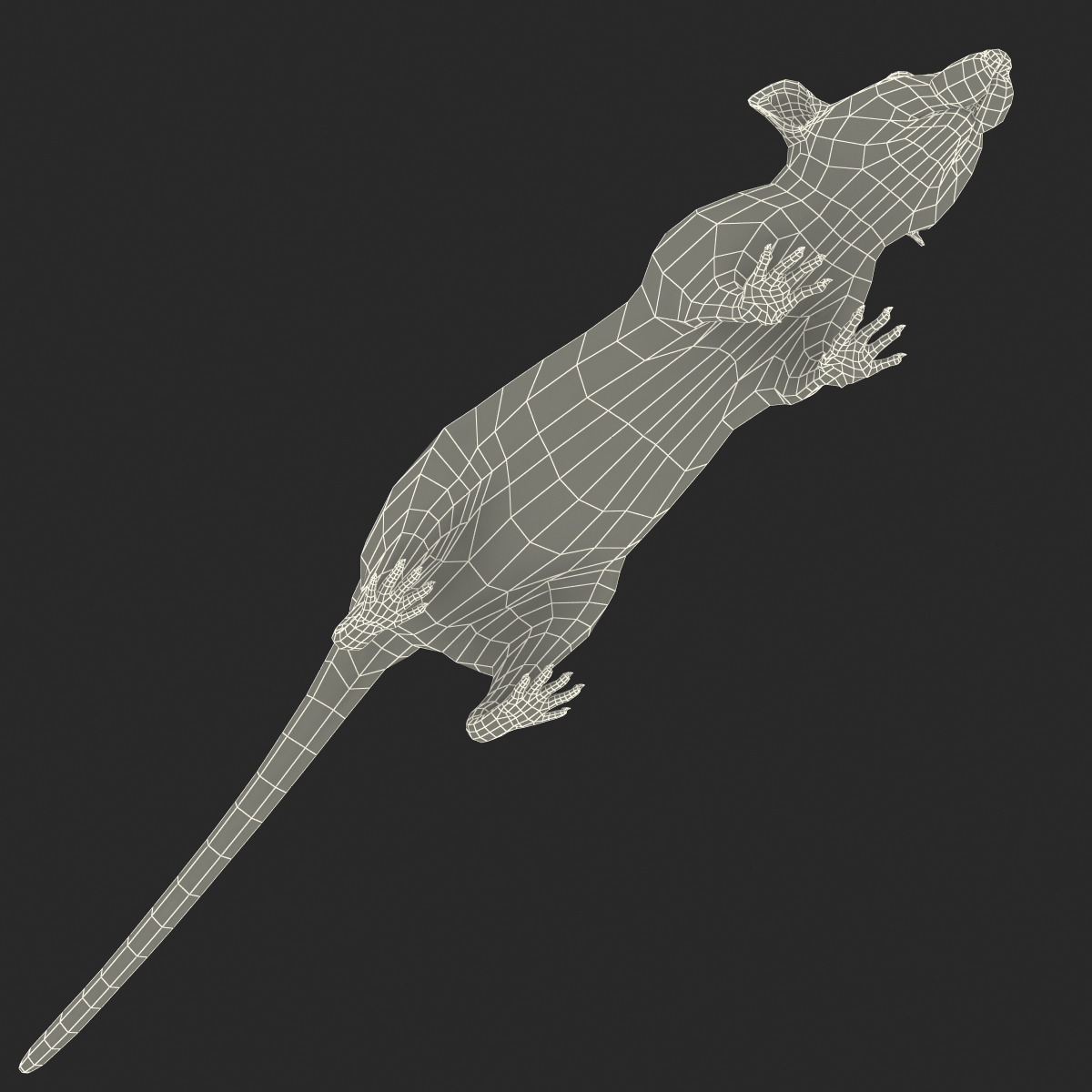 Rat 3 3D model