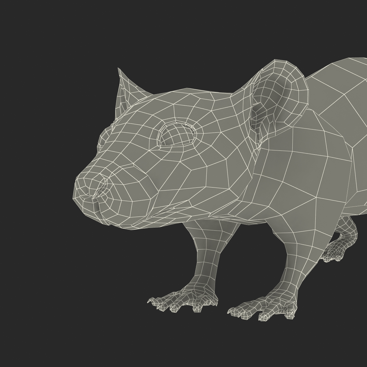 Rat 3 3D model