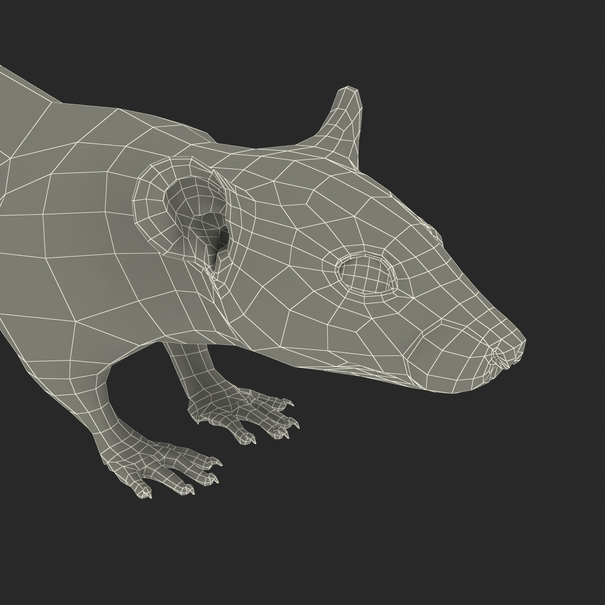 Rat 3 3D model