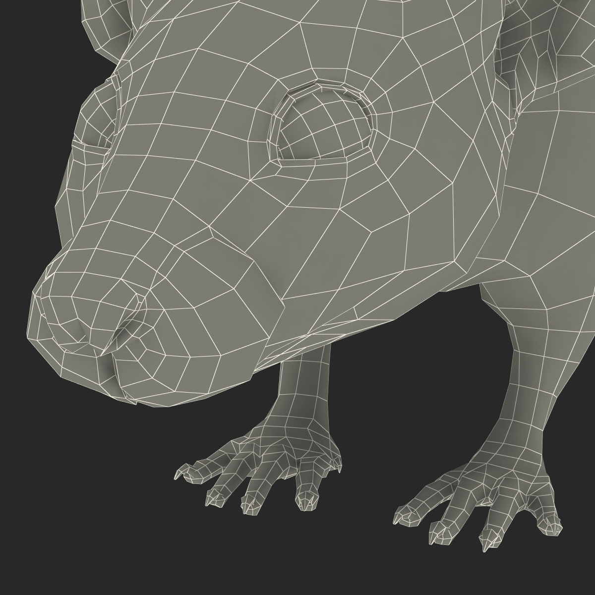 Rat 3 3D model