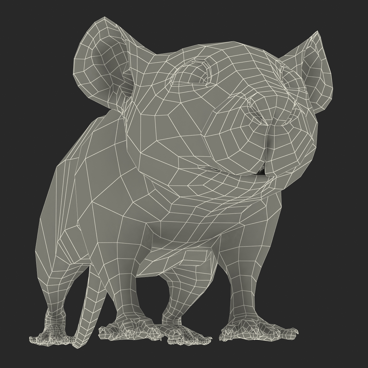 Rat 3 3D model