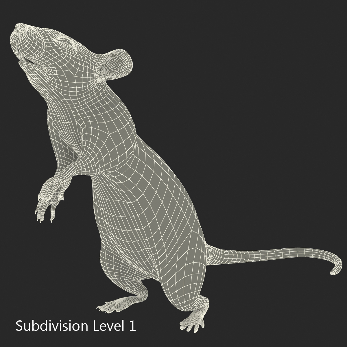 3D White Rat Pose 2