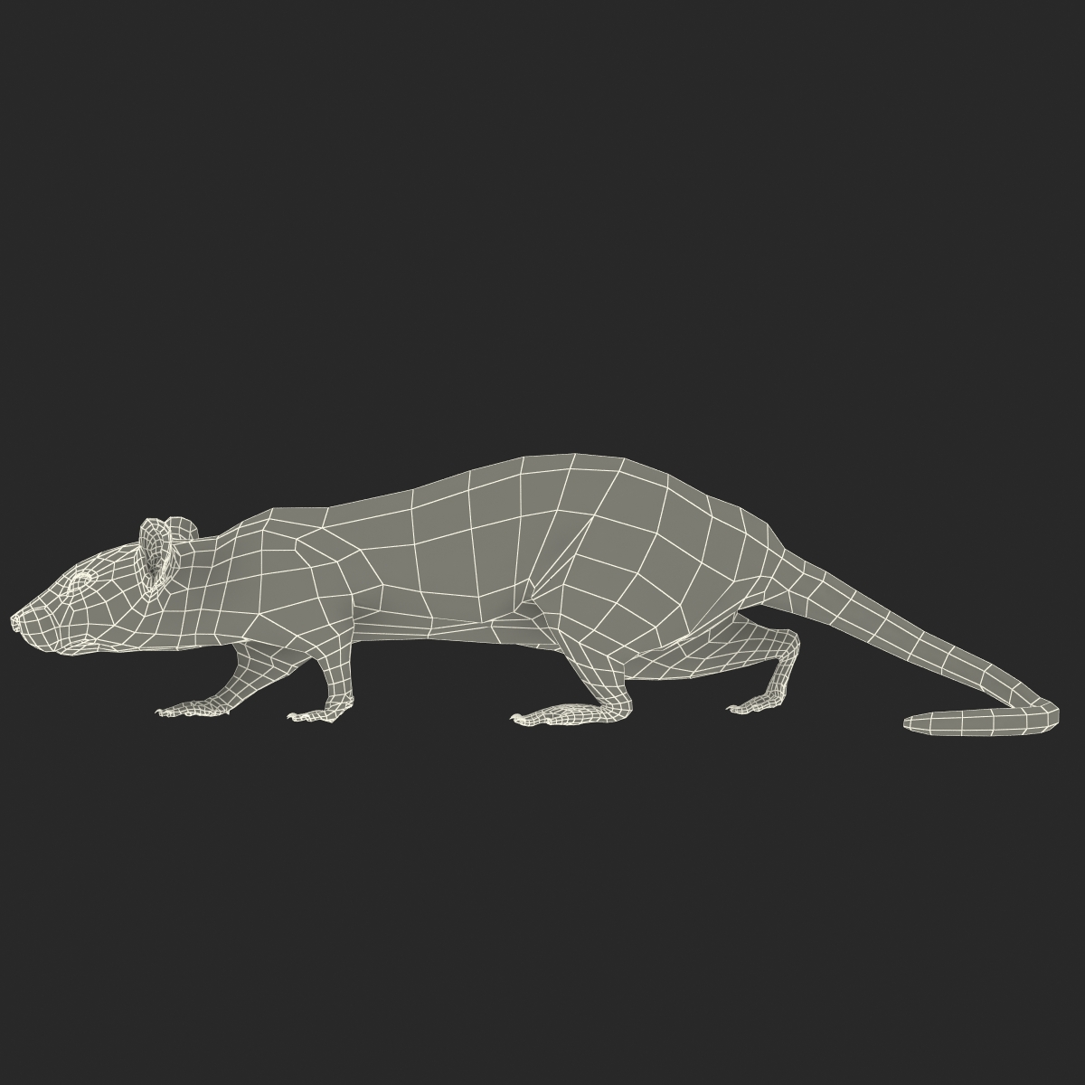 3D White Rat Pose 3