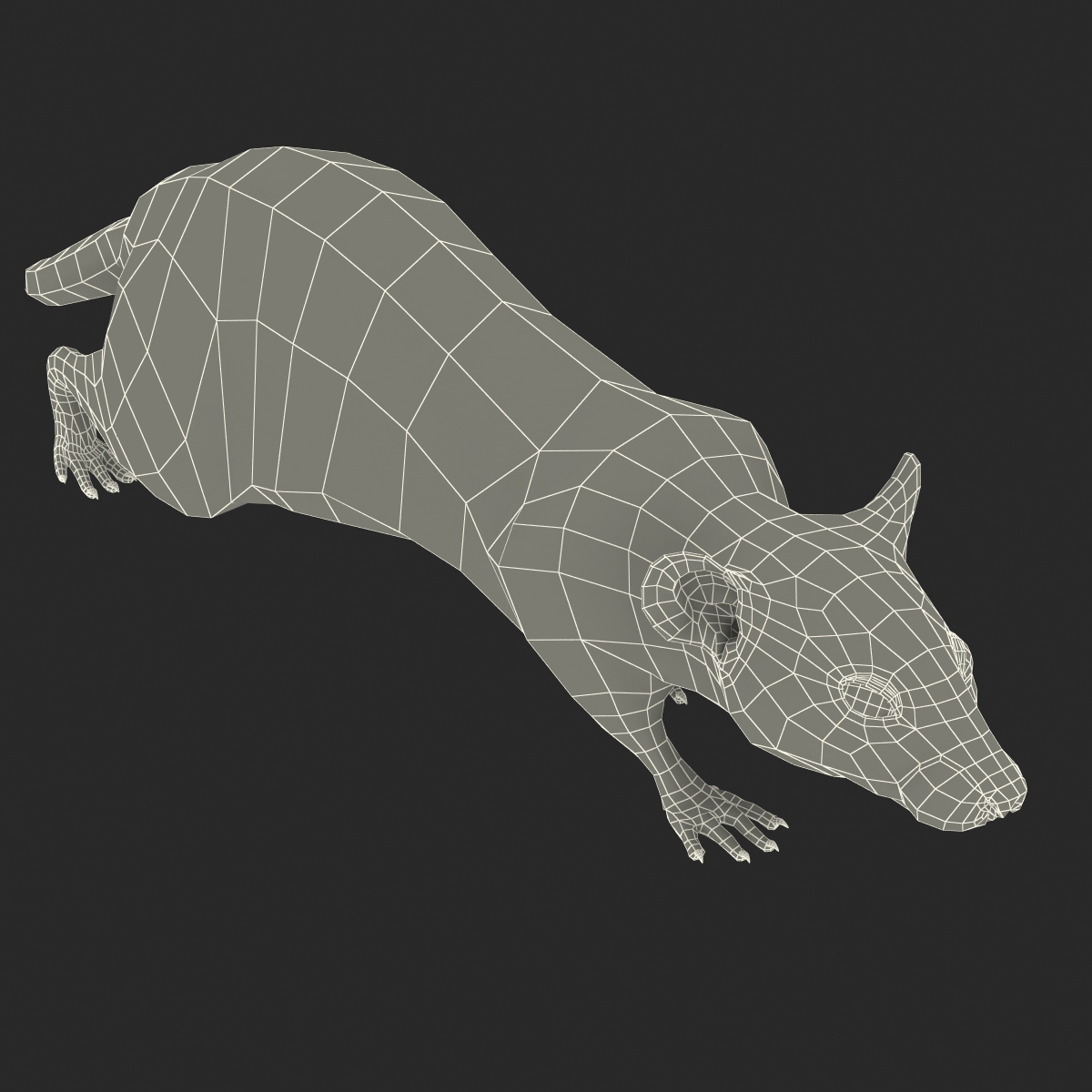 3D White Rat Pose 3