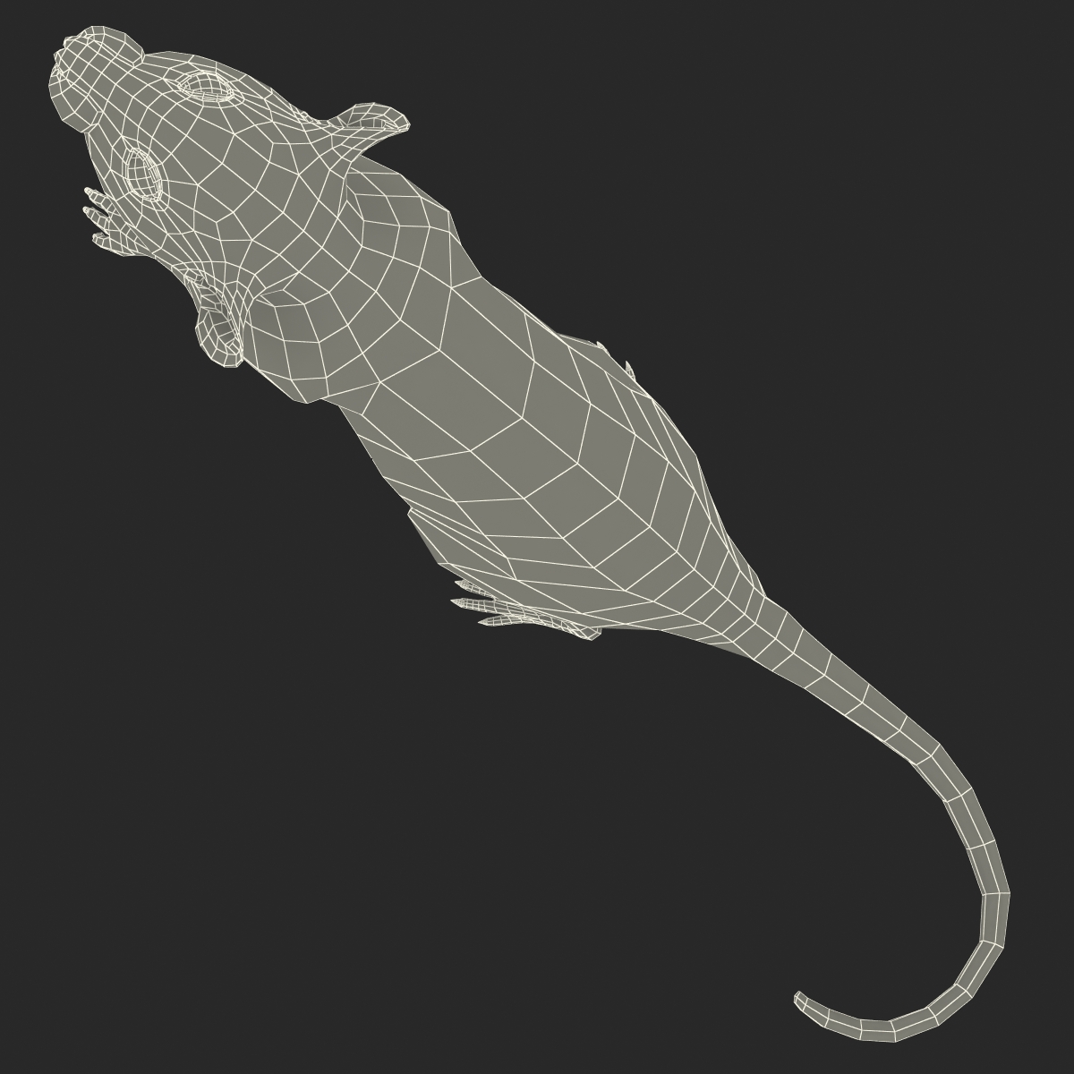 3D White Rat Pose 2