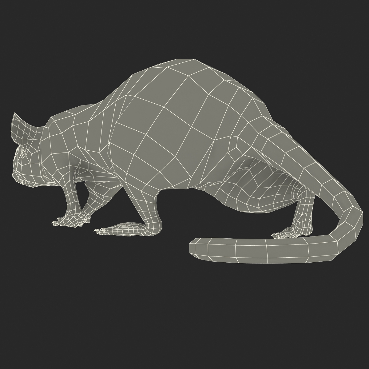 3D White Rat Pose 3