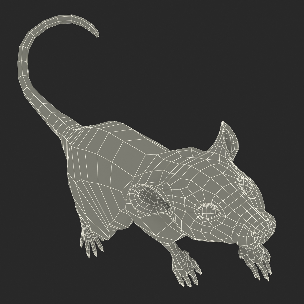 3D White Rat Pose 2