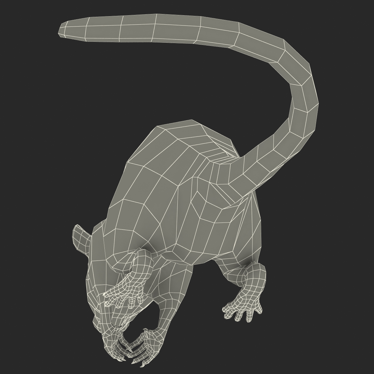 3D White Rat Pose 4