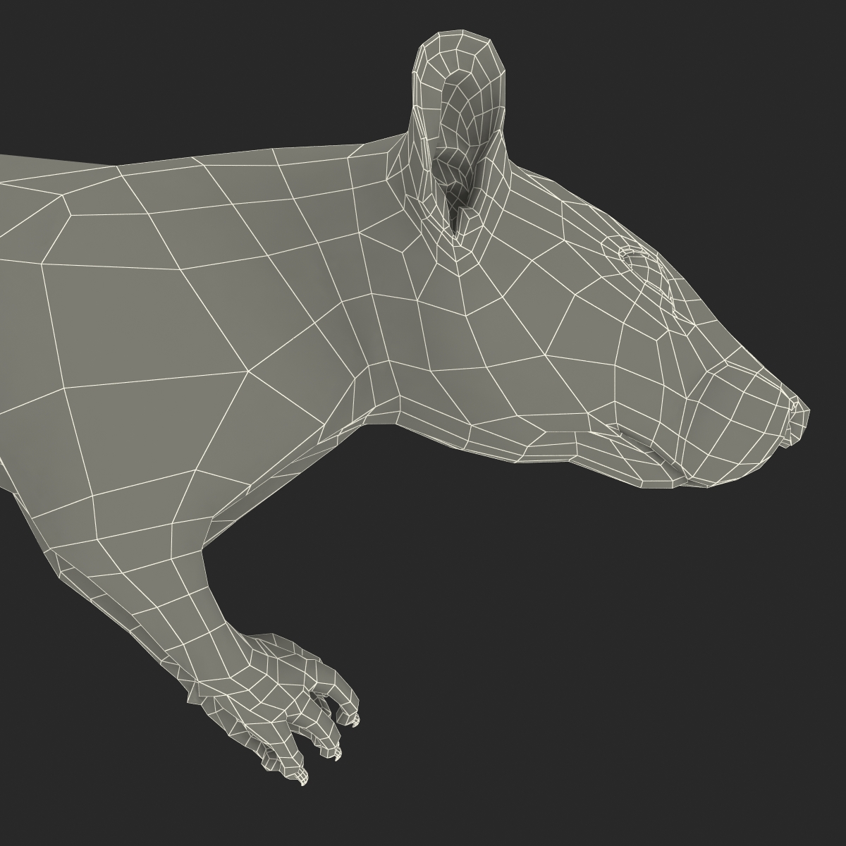 3D White Rat Pose 4