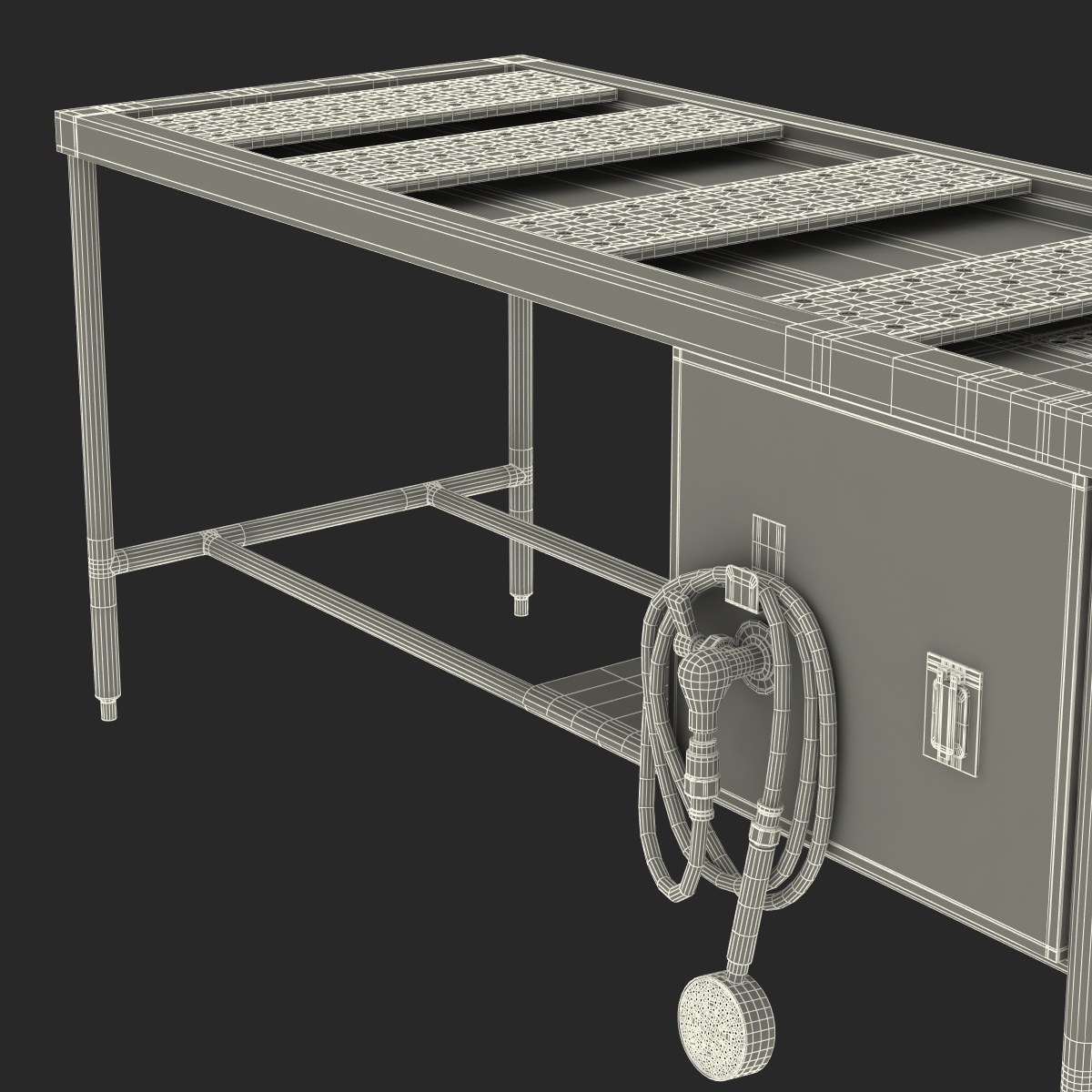 3D Autopsy Table model