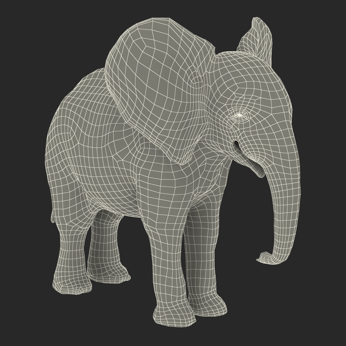 3D Baby Elephant model