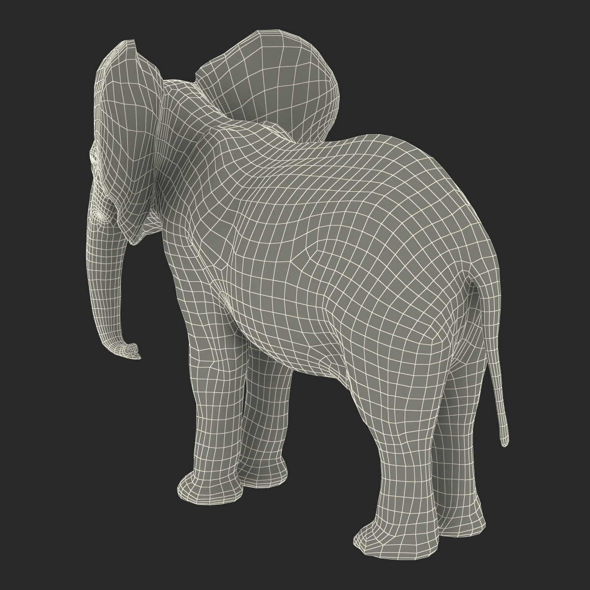 3D Baby Elephant model