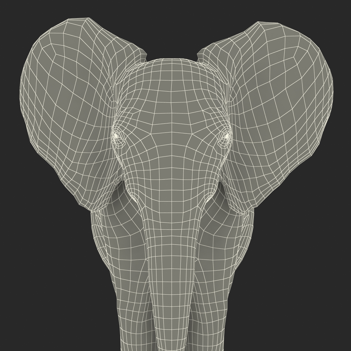 3D Baby Elephant model