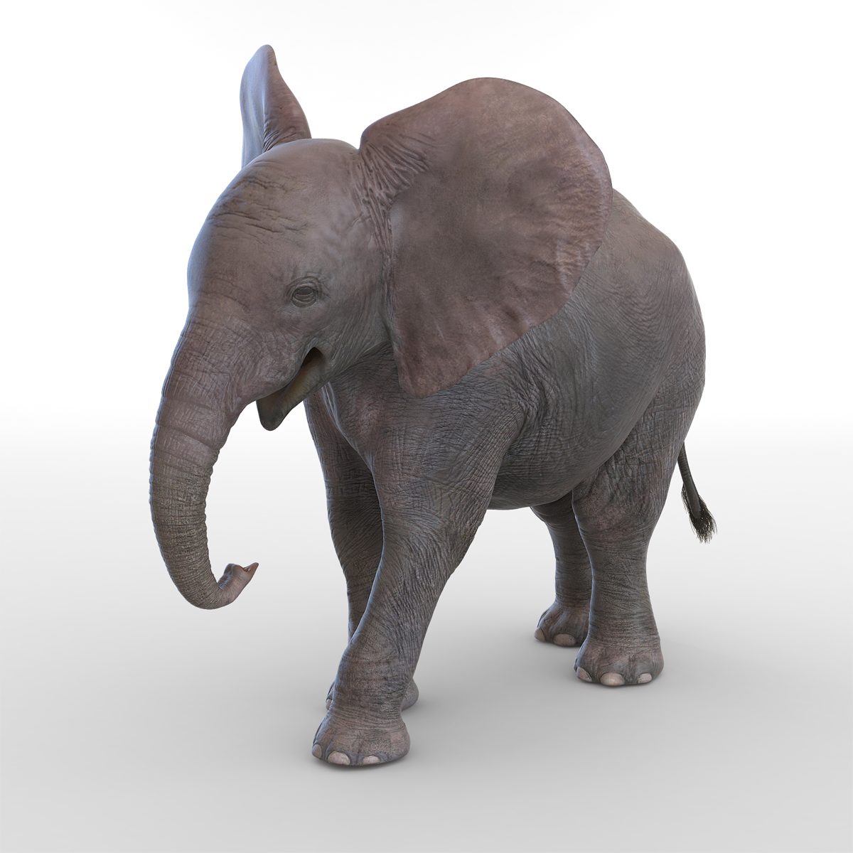 3D model Baby Elephant Pose 2