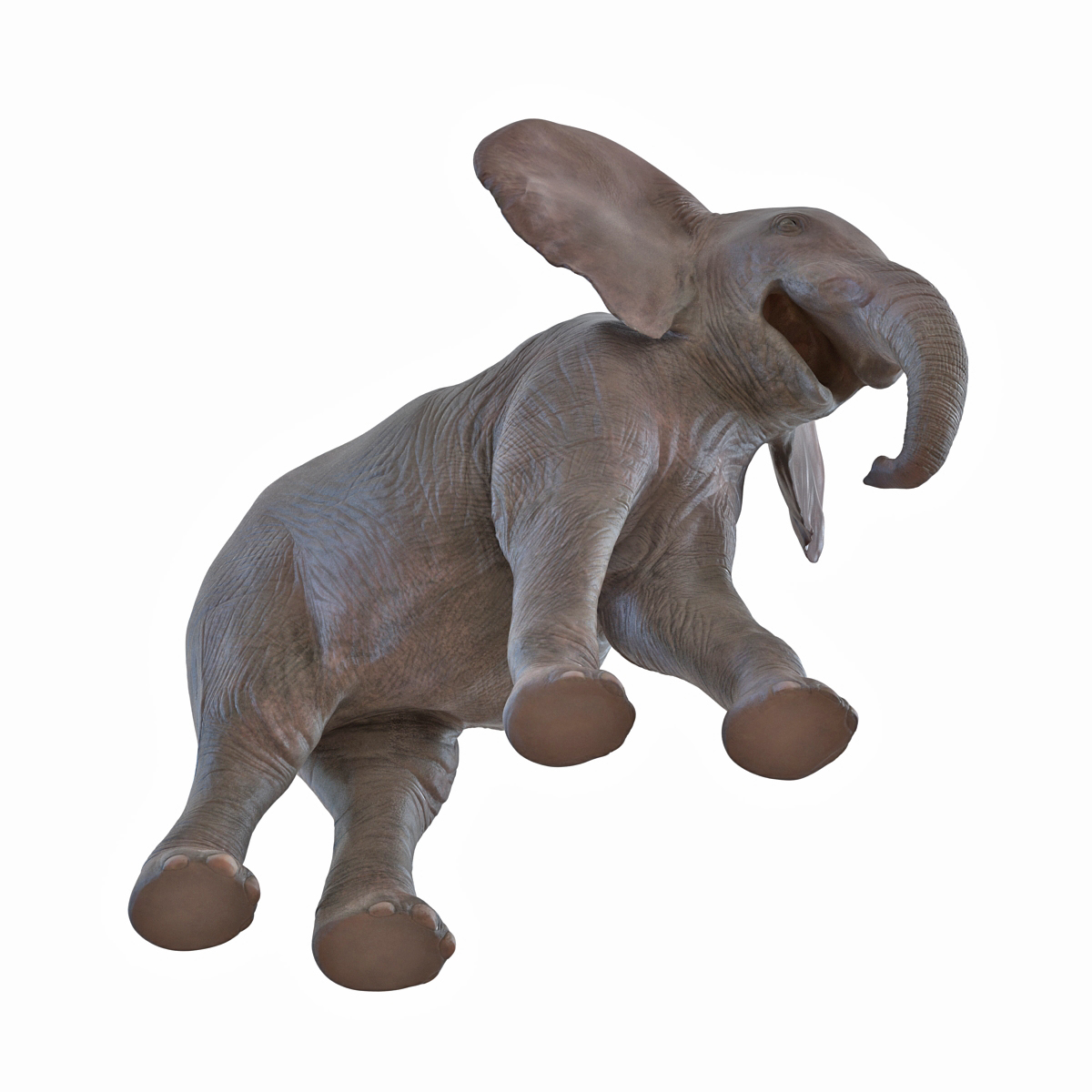 3D model Baby Elephant Pose 2