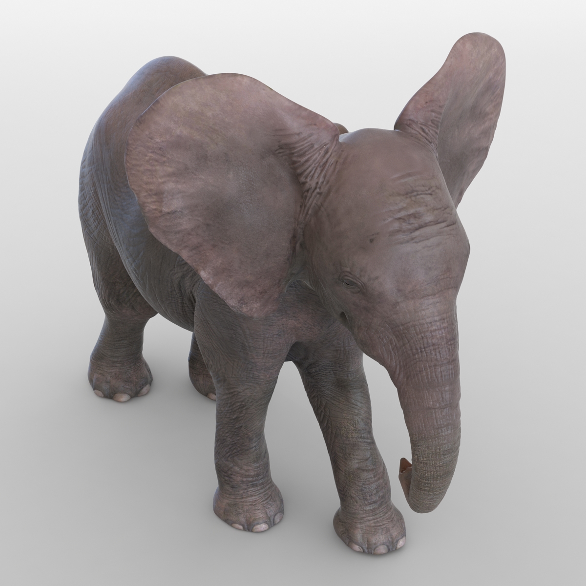 3D model Baby Elephant Pose 2