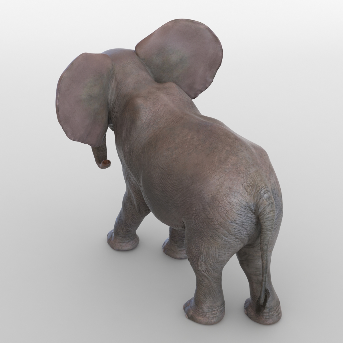 3D model Baby Elephant Pose 2