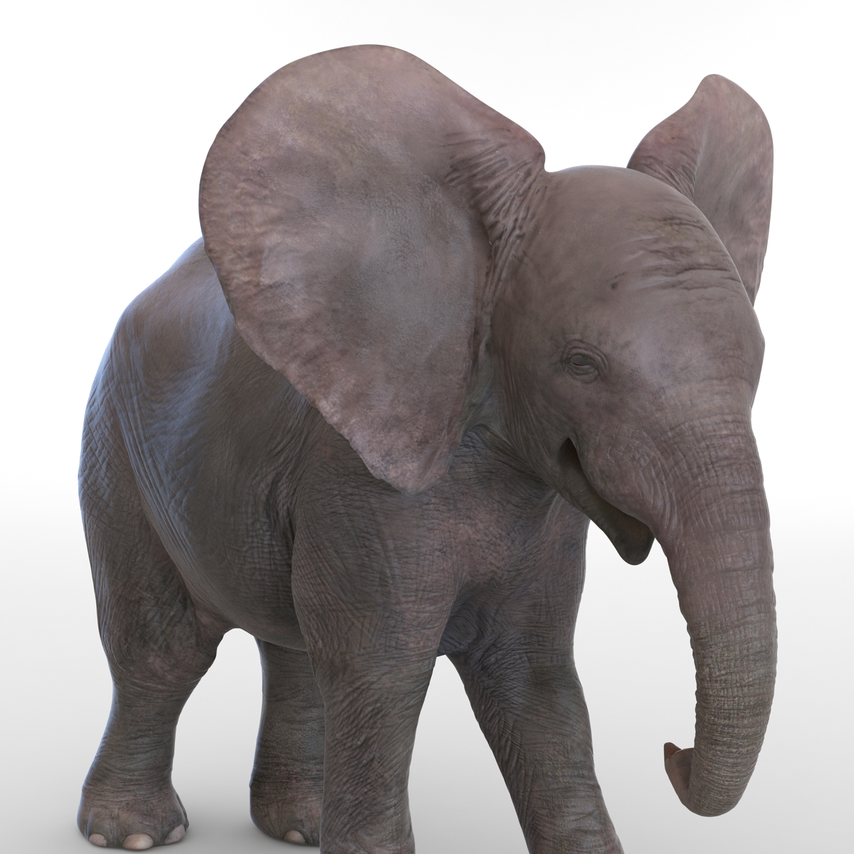 3D model Baby Elephant Pose 2