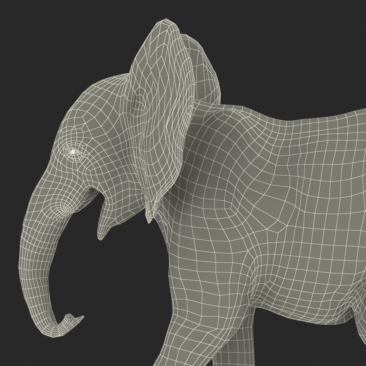 3D model Baby Elephant Pose 2