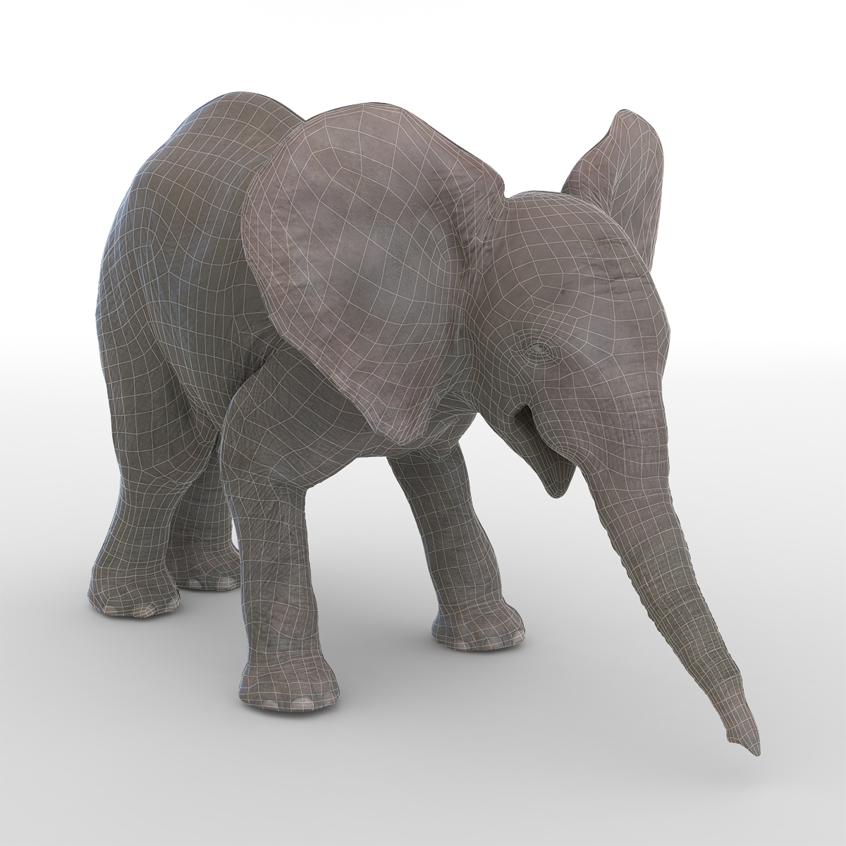 3D model Baby Elephant Pose 3