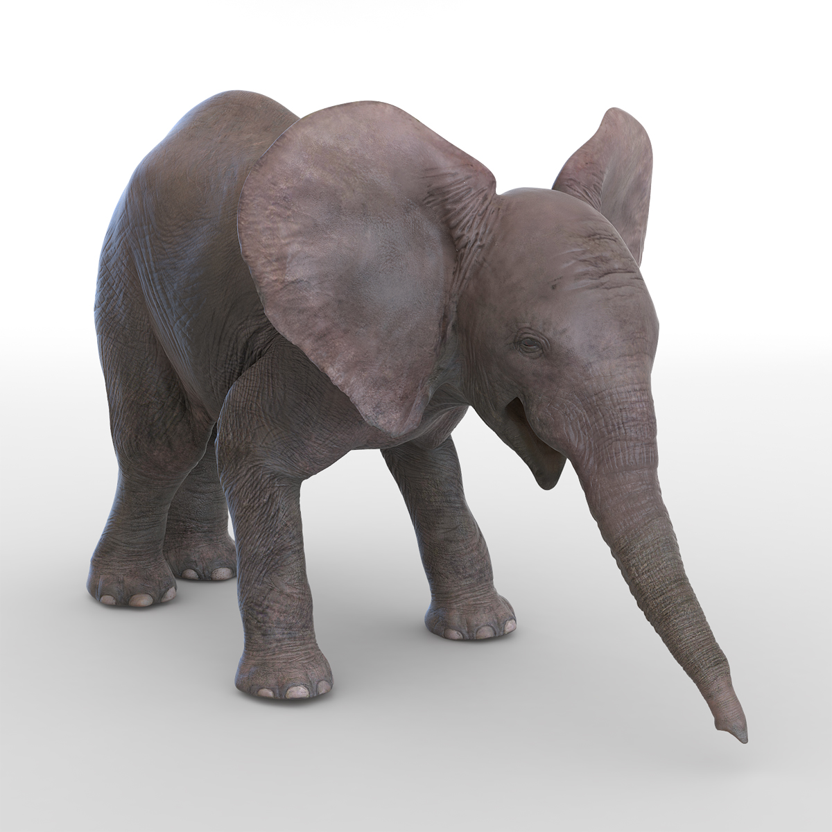 3D model Baby Elephant Pose 3