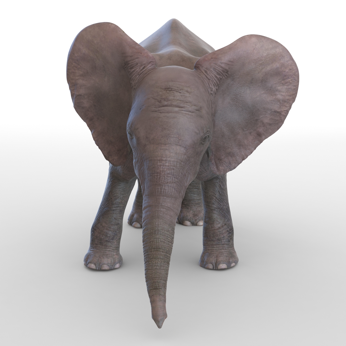 3D model Baby Elephant Pose 3