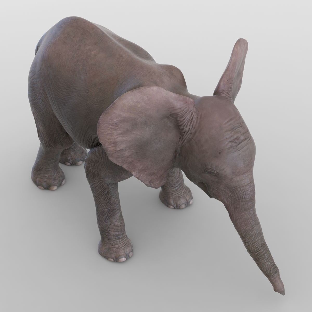 3D model Baby Elephant Pose 3