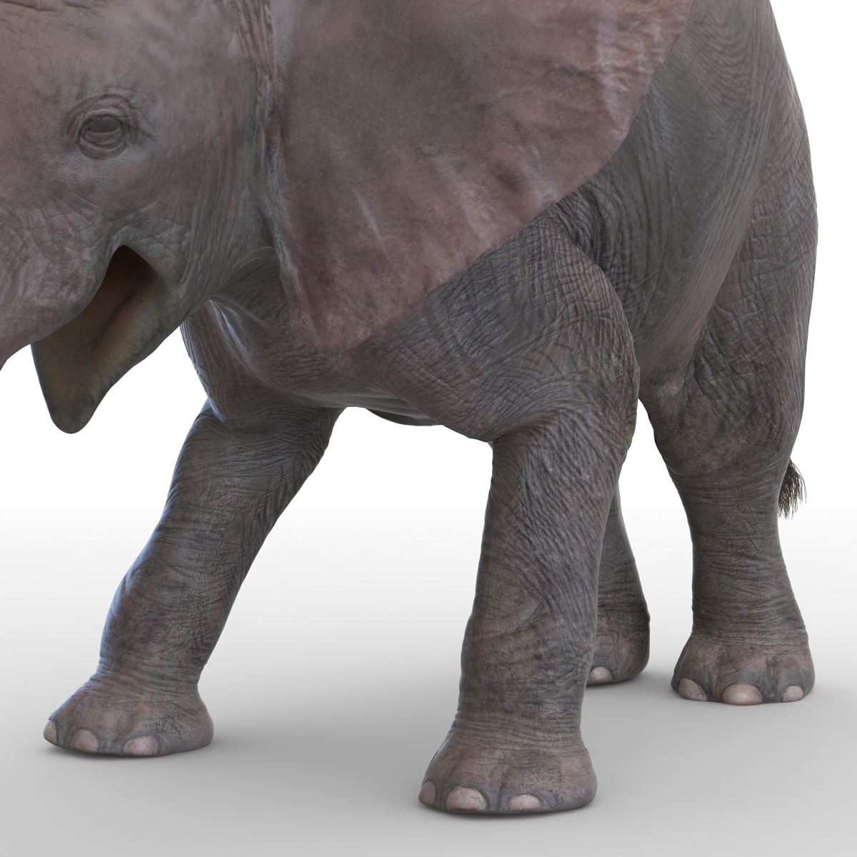 3D model Baby Elephant Pose 3