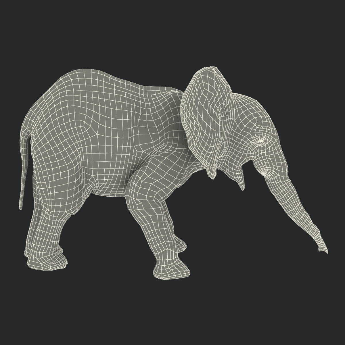 3D model Baby Elephant Pose 3