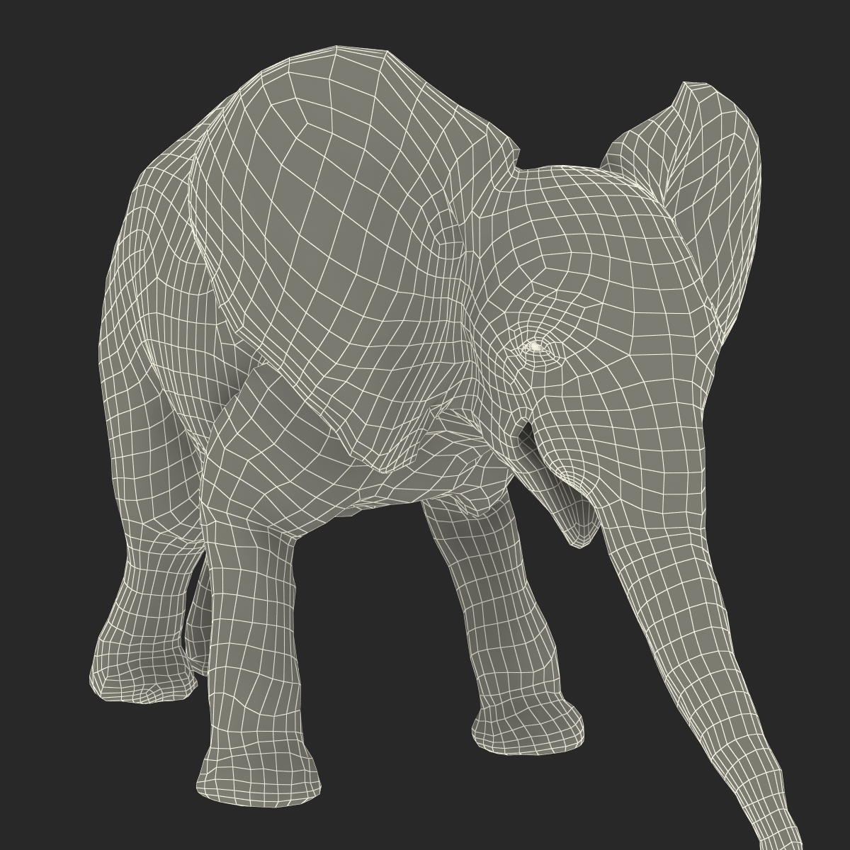 3D model Baby Elephant Pose 3