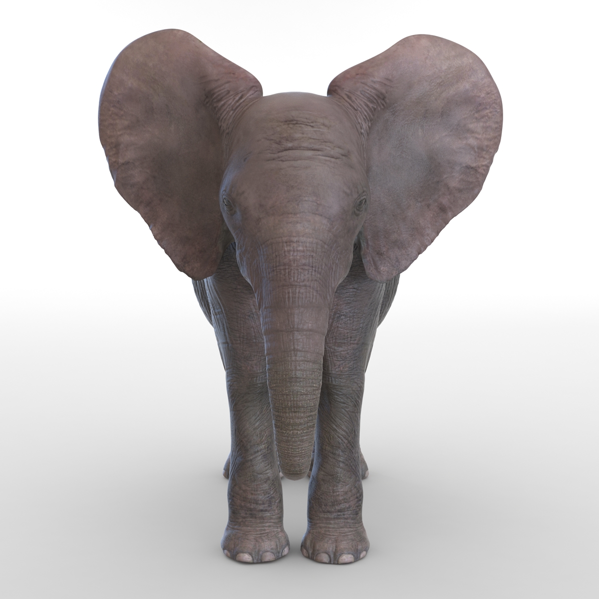 3D model Baby Elephant Rigged