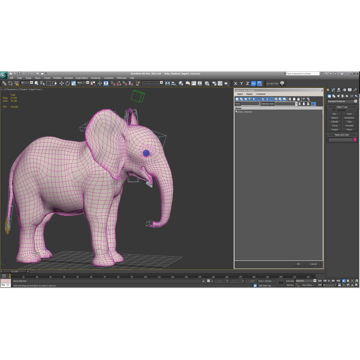 3D model Baby Elephant Rigged