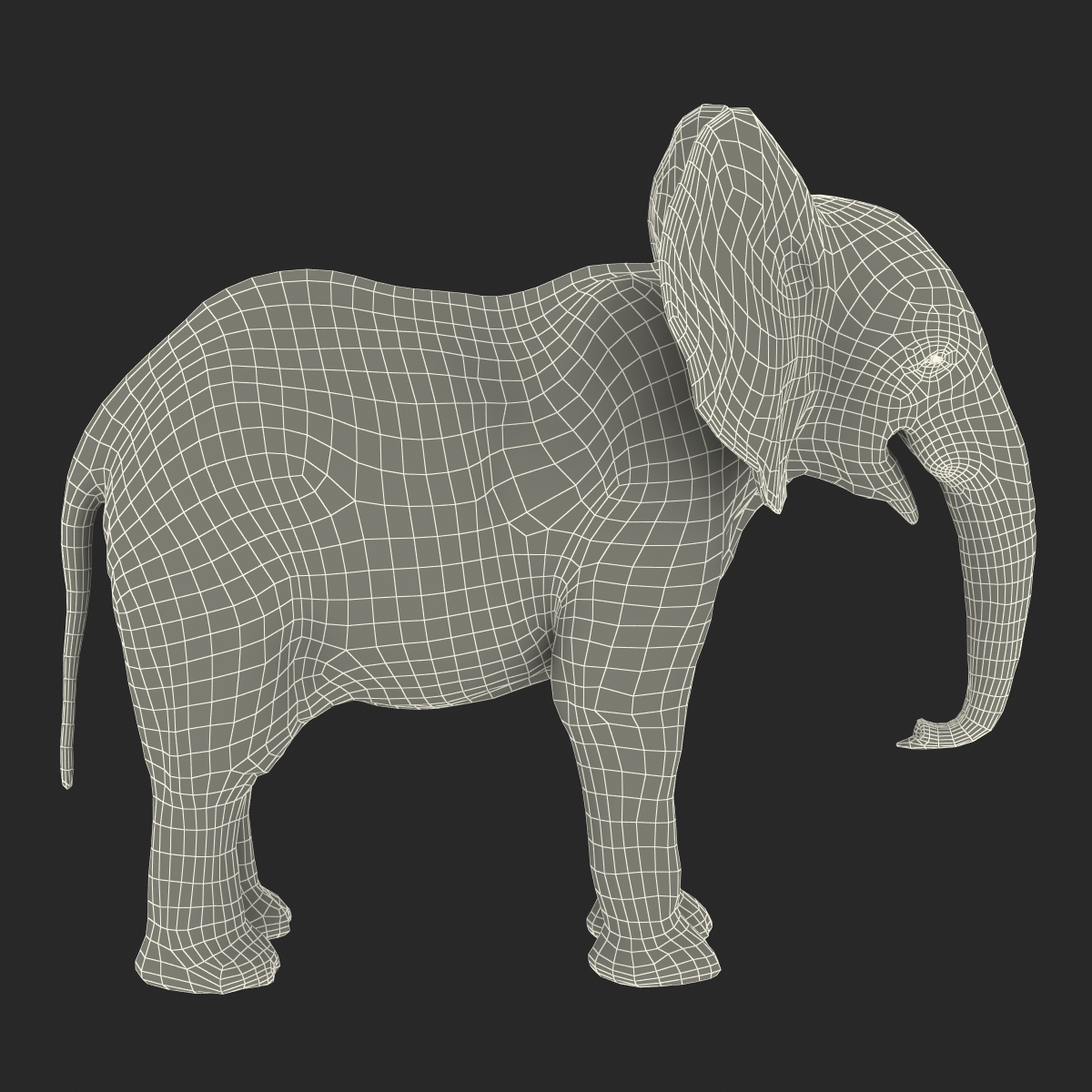 3D model Baby Elephant Rigged