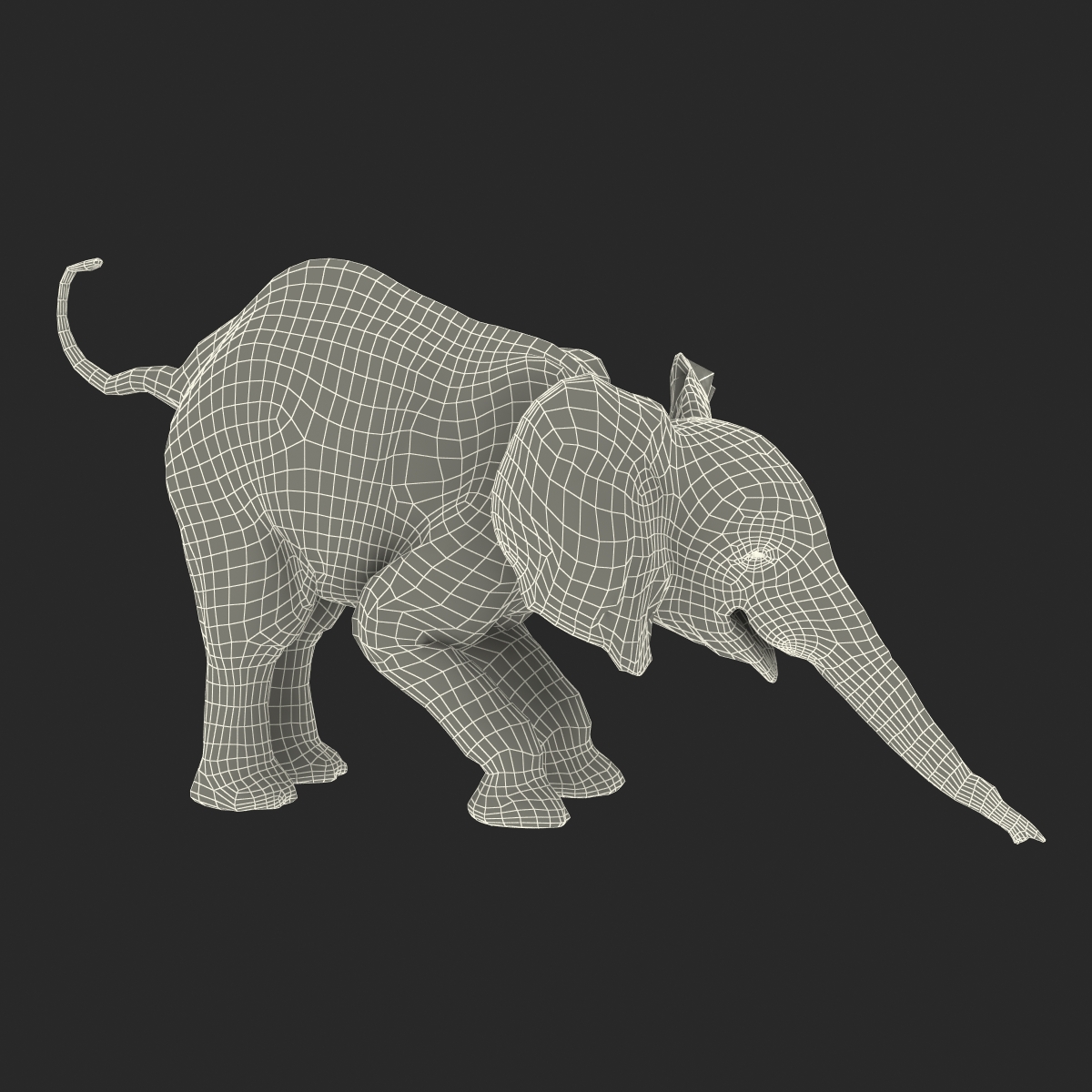 3D model Baby Elephant Rigged