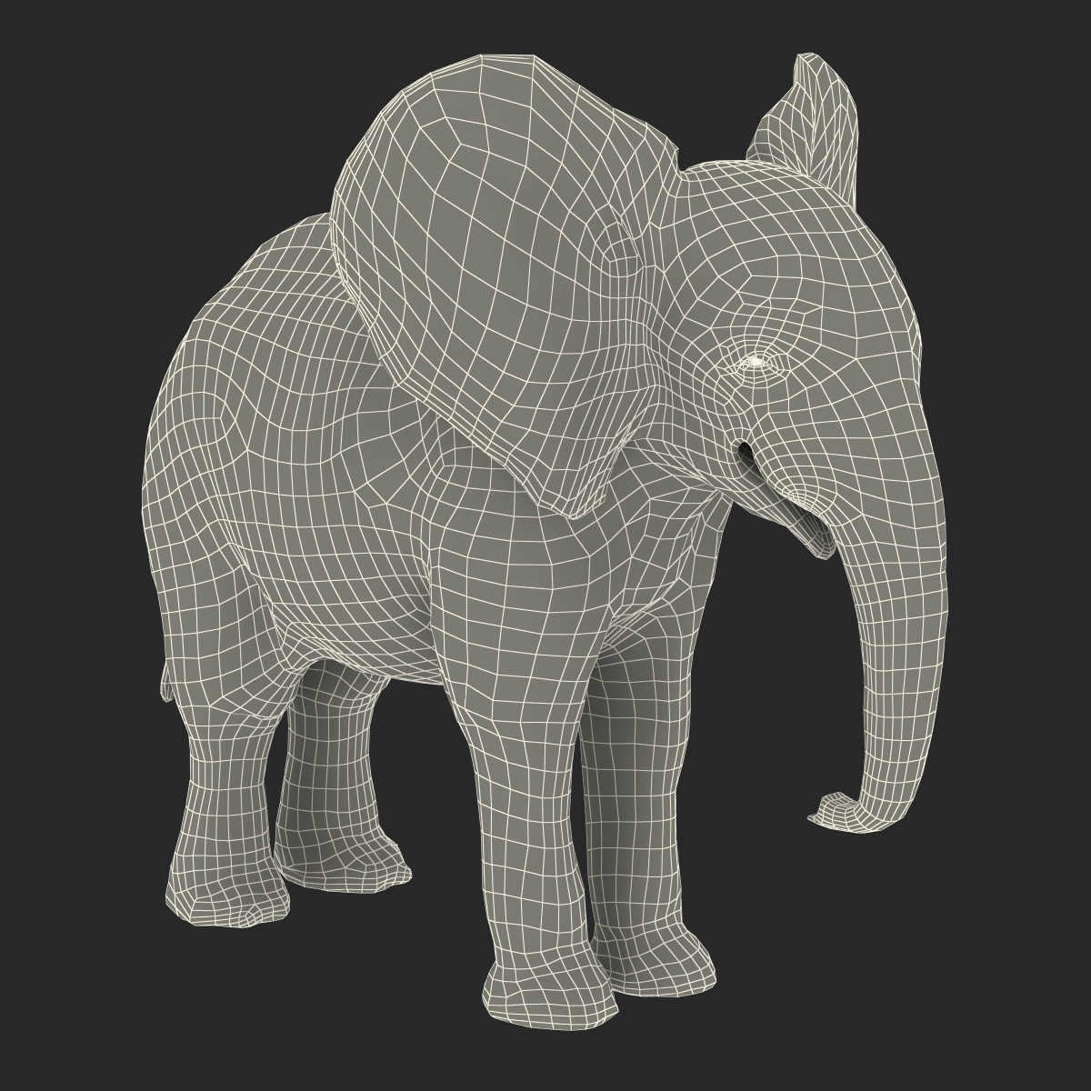 Baby Elephant with Fur 3D