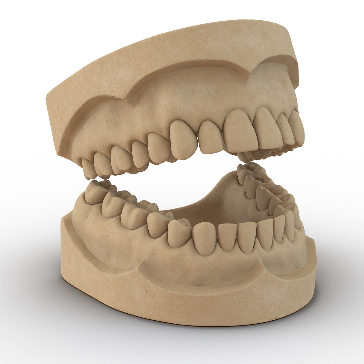 3D Dental Mold