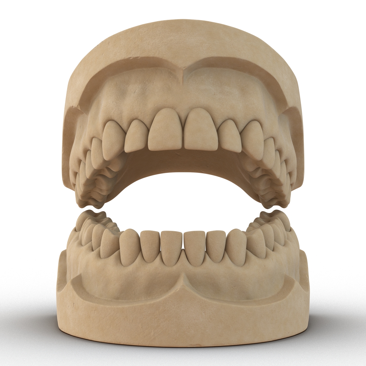 3D Dental Mold