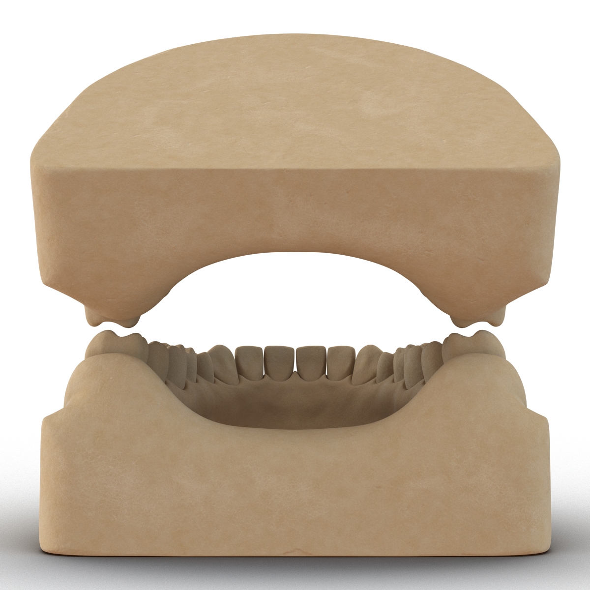 3D Dental Mold