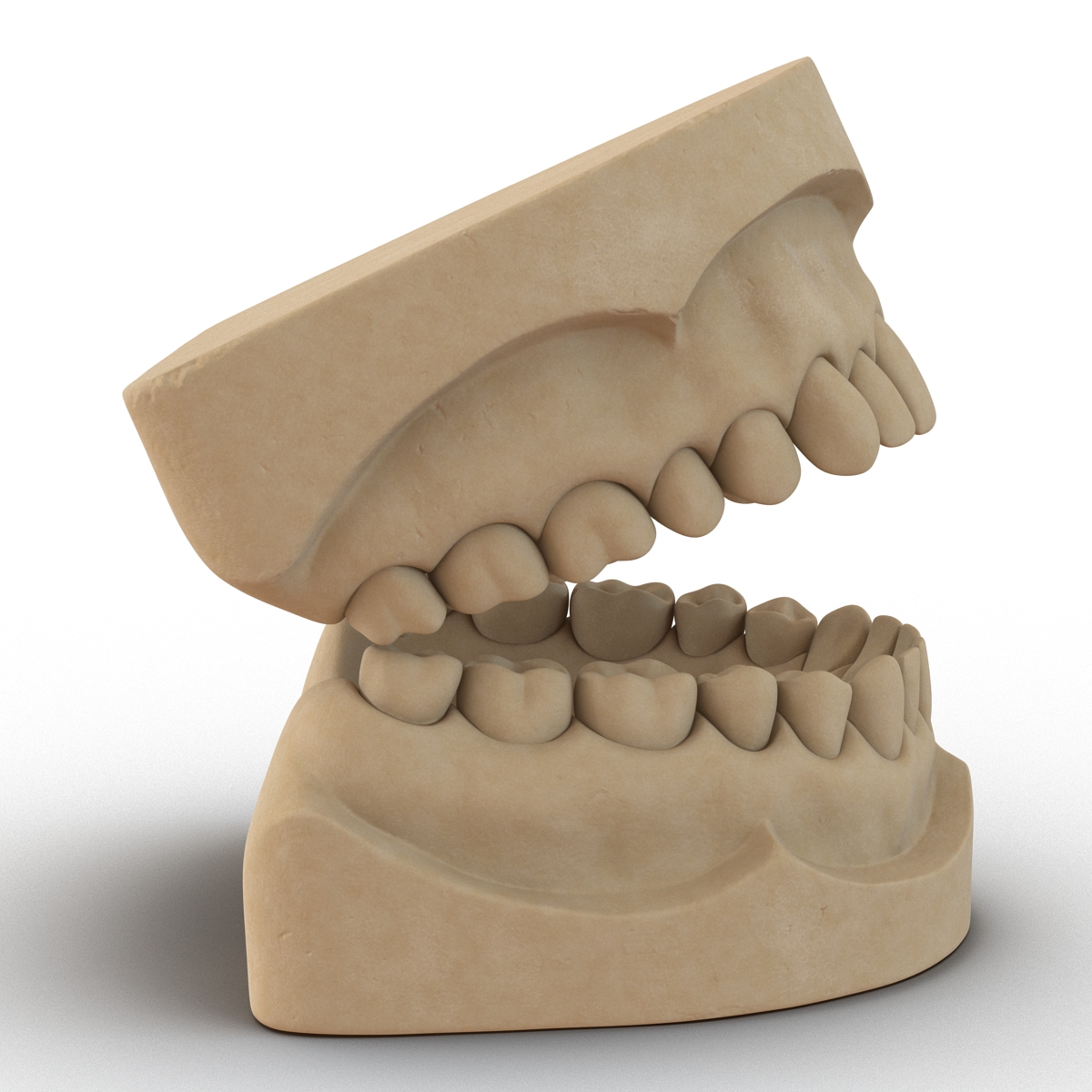 3D Dental Mold